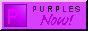 [Purples NOW!]