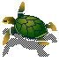 (swimming turtle)